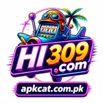 HI309 Game
