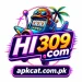 HI309 Game