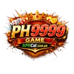 HP9999 Game